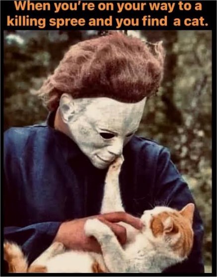 caturday spree majorgeeks.jpg